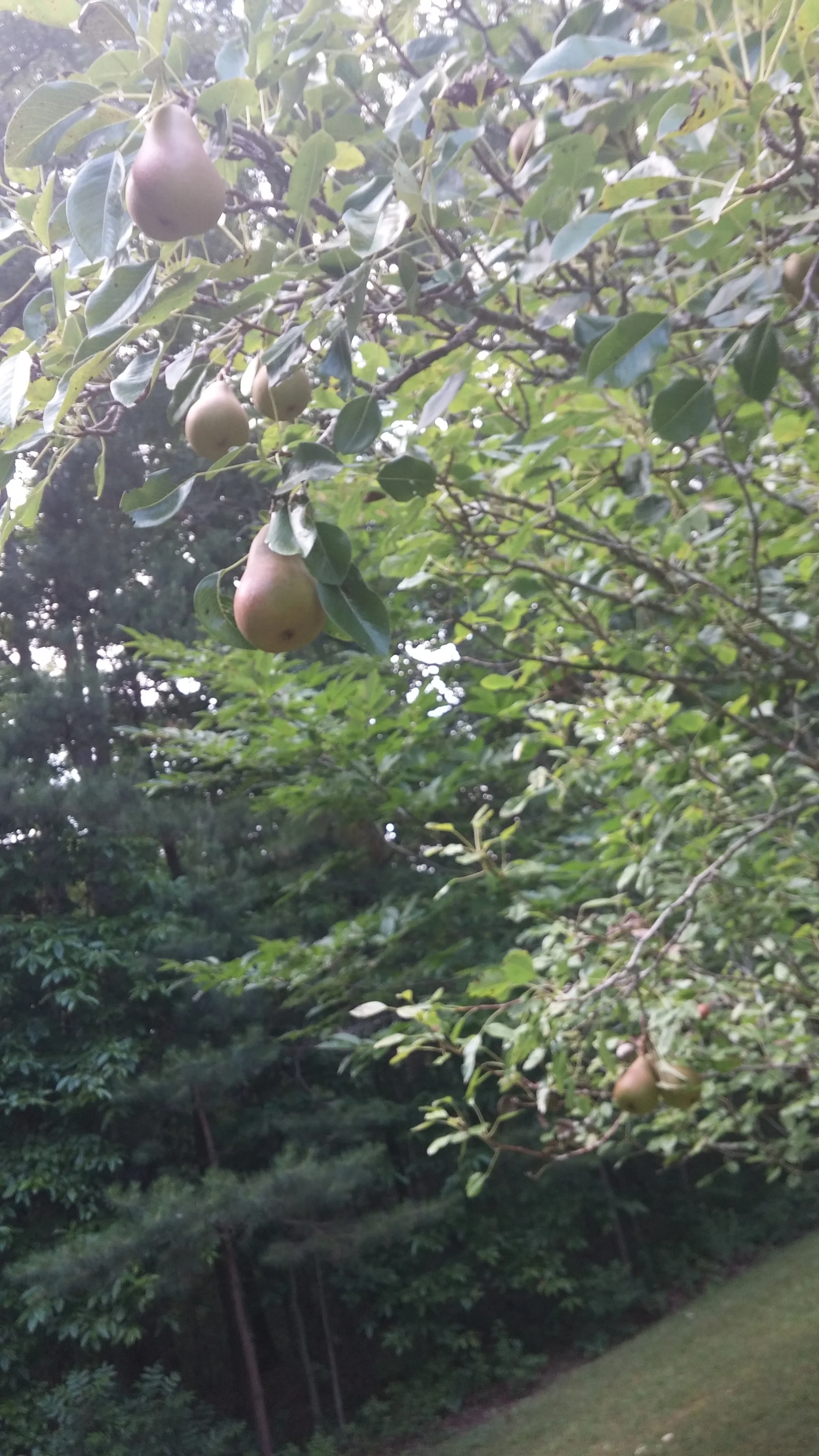 Normal Isn't Healthy