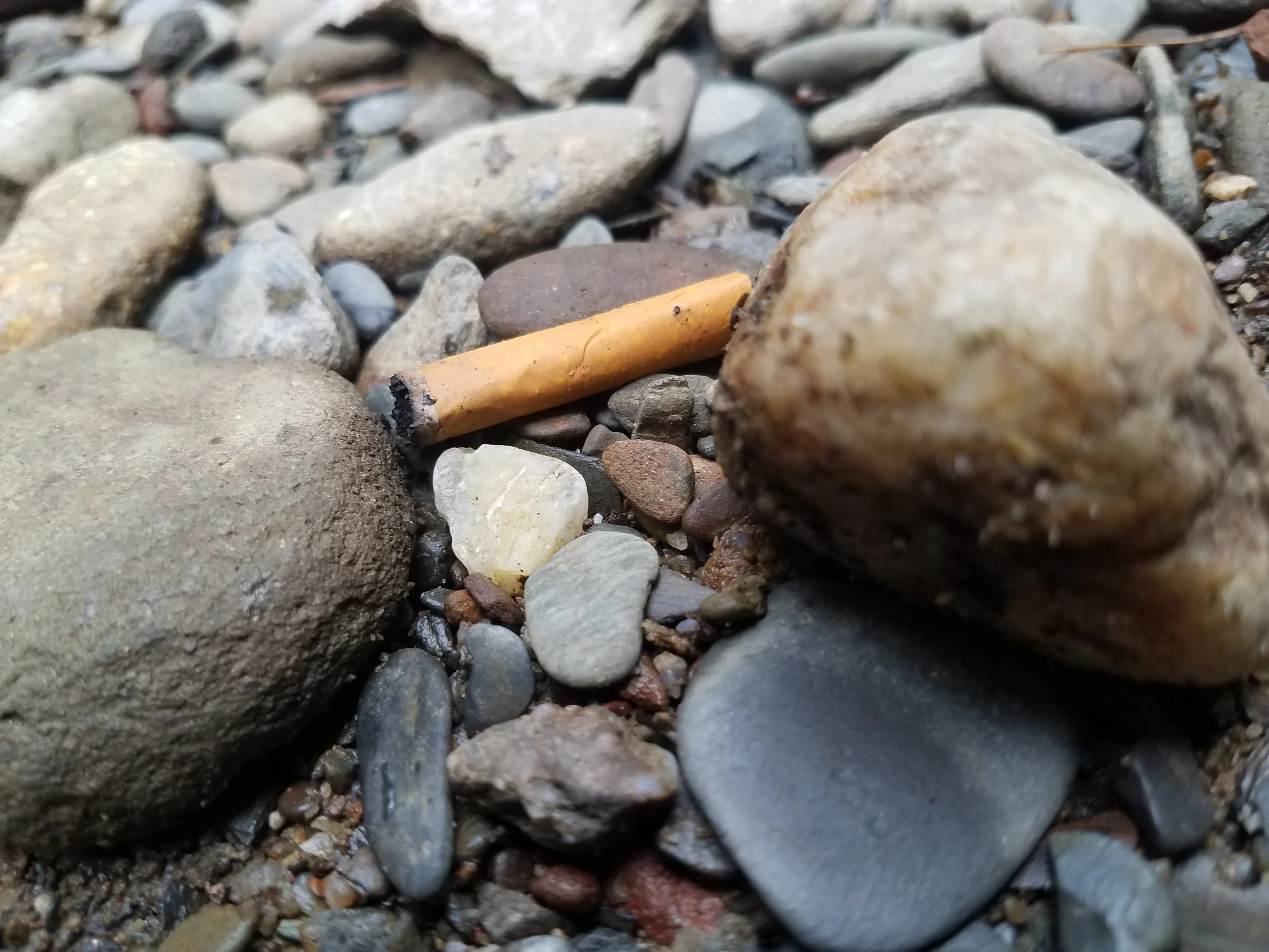 Anything is Everything