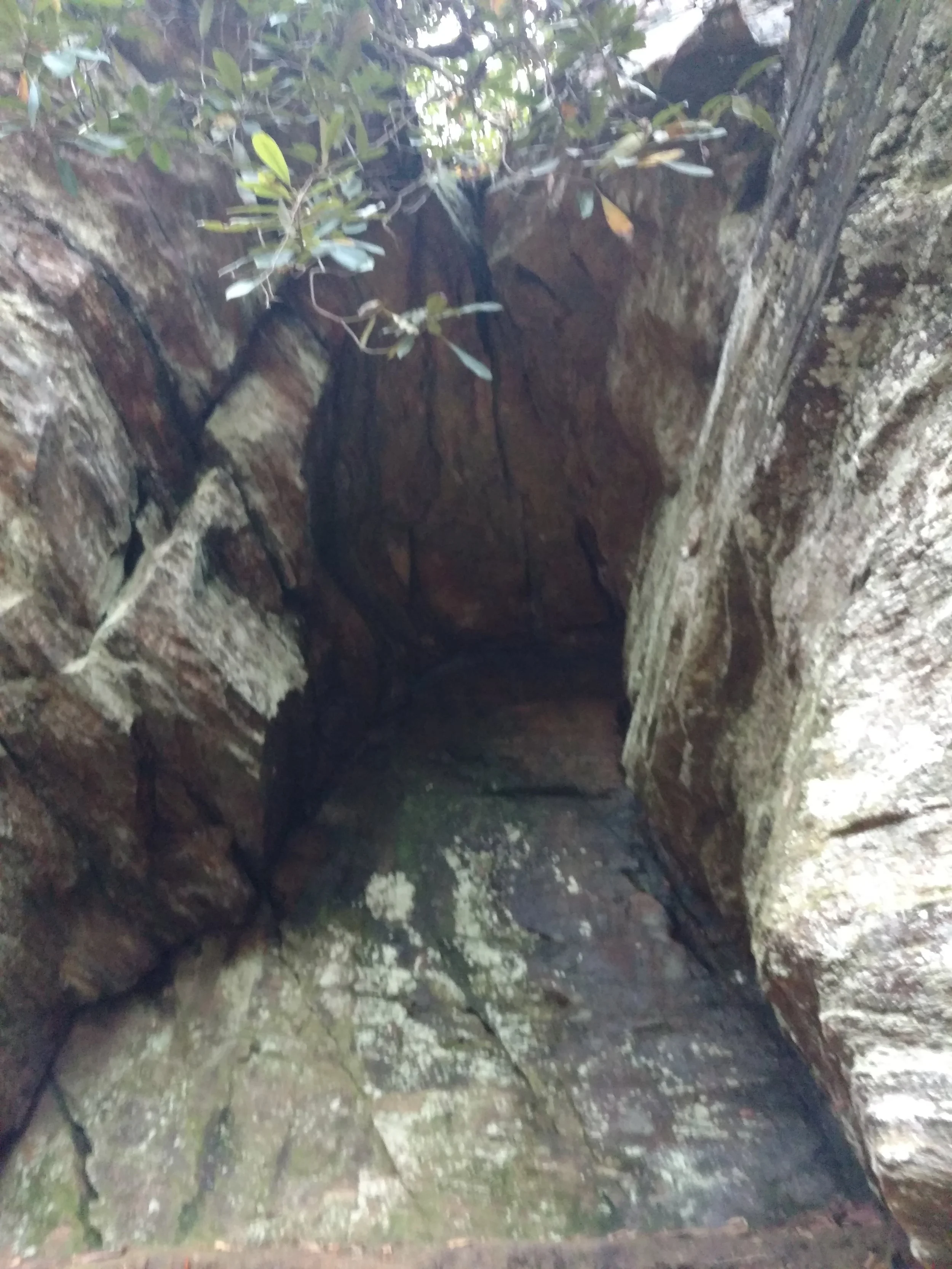 All Parts of the Brain