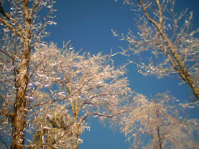 Masculine/Feminine Introvert/Extrovert