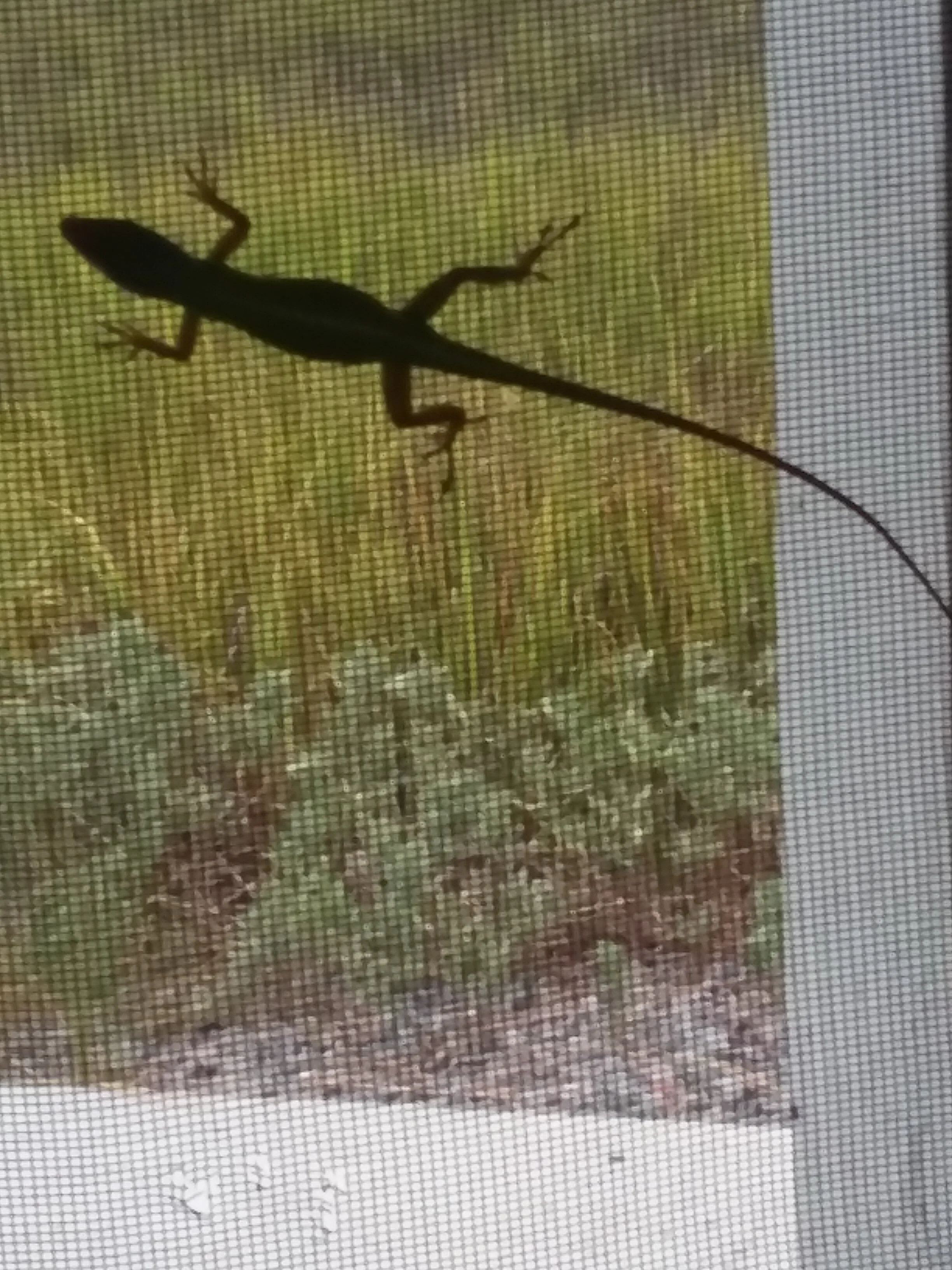 Clubs and Baby Diapers