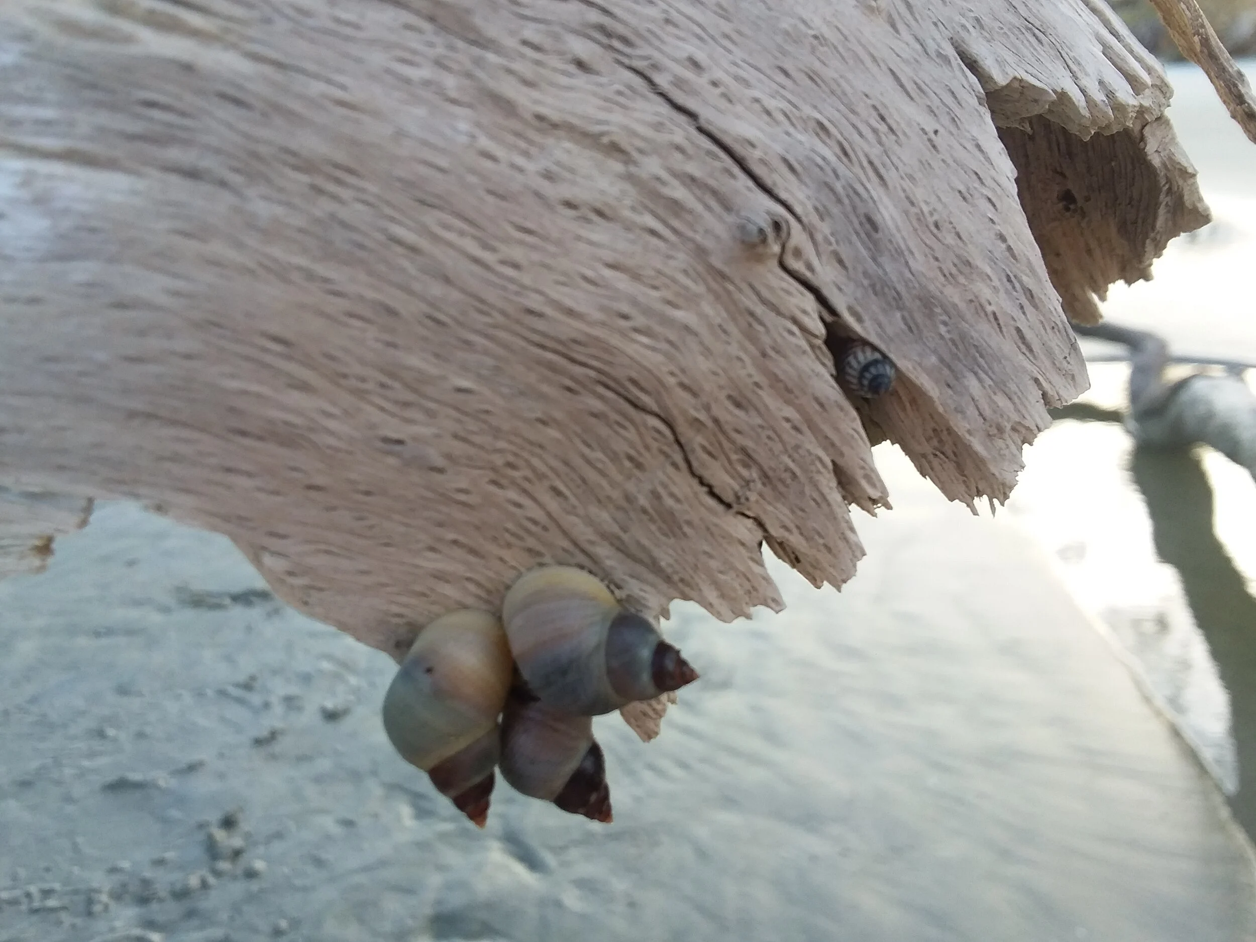 Capability equals Team Value