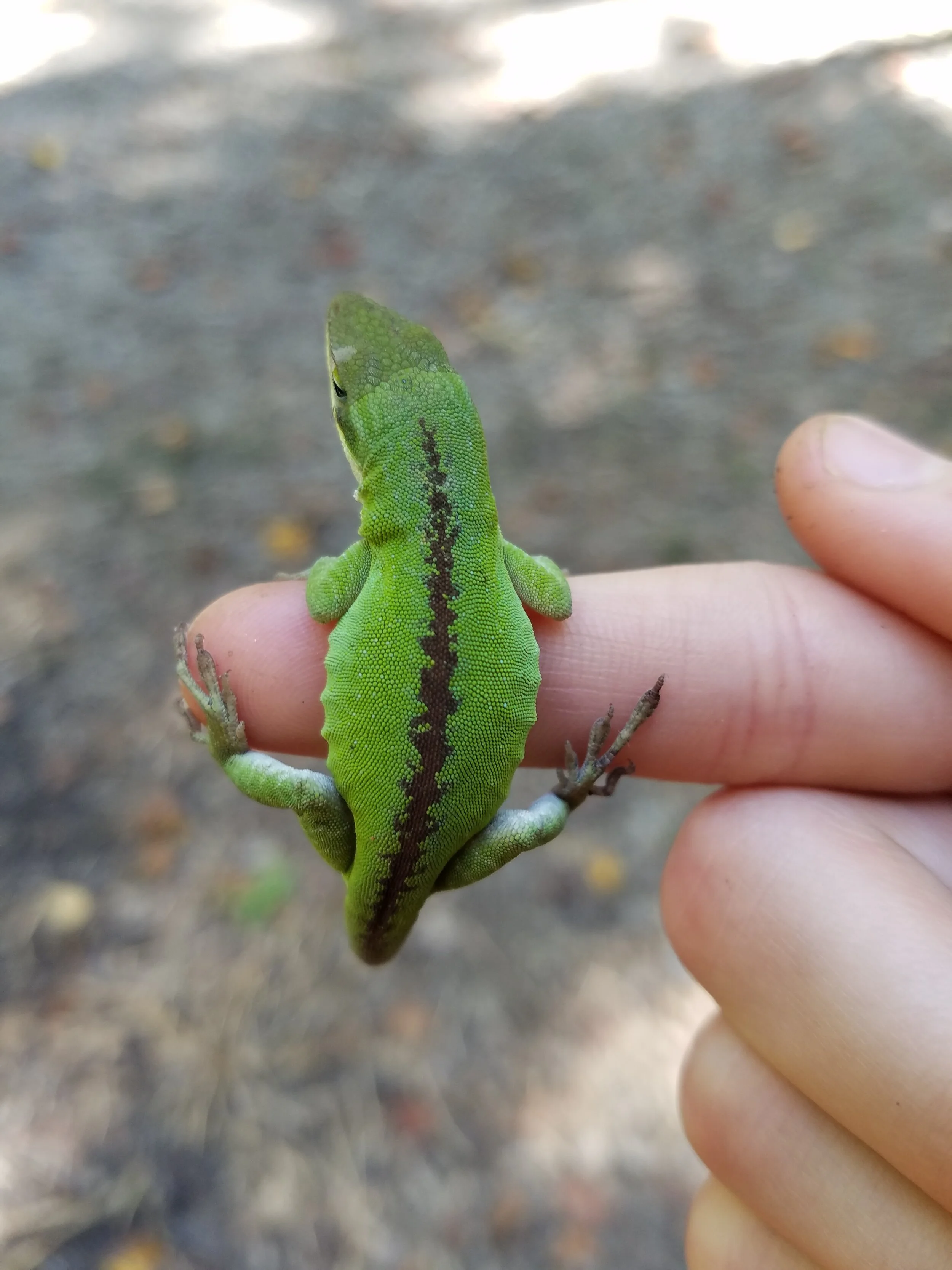 Relationship Equation