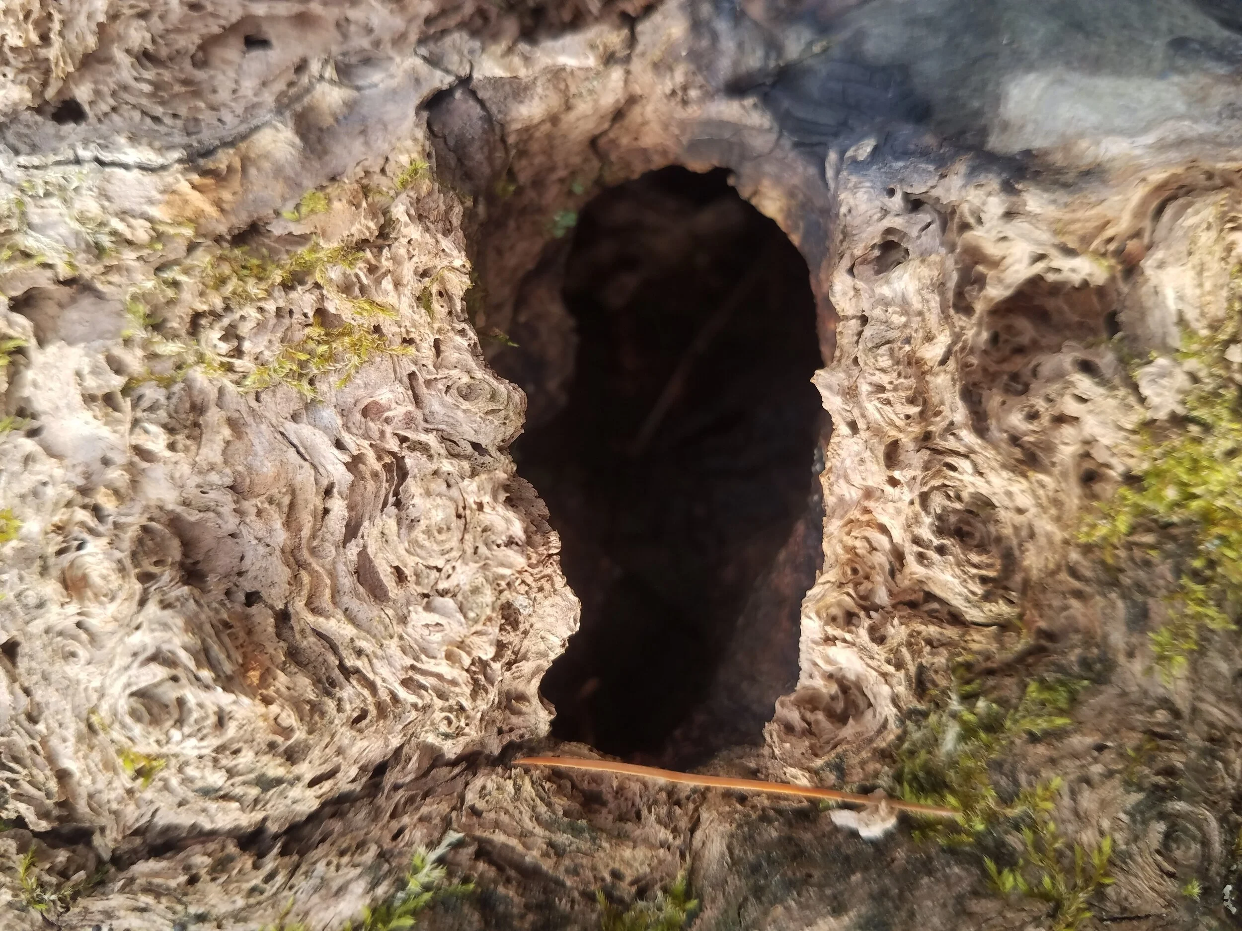 Courage Isn't Required