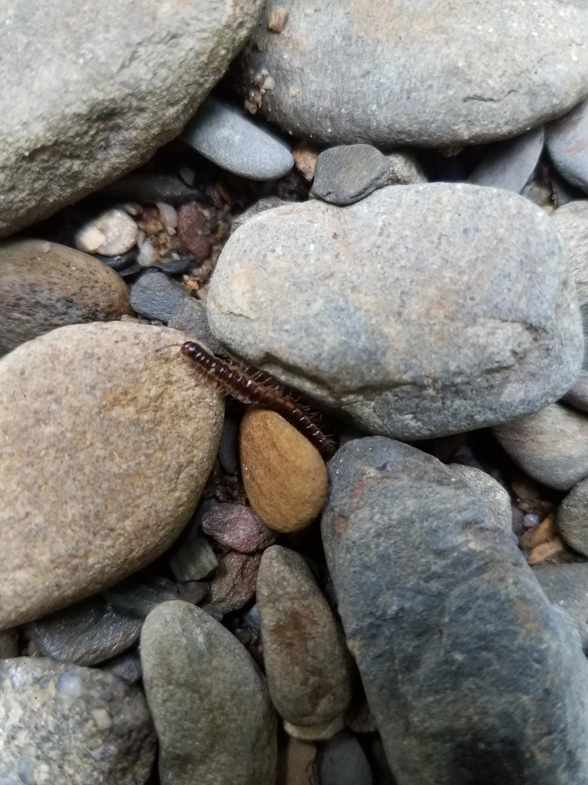 Strategy for the Game