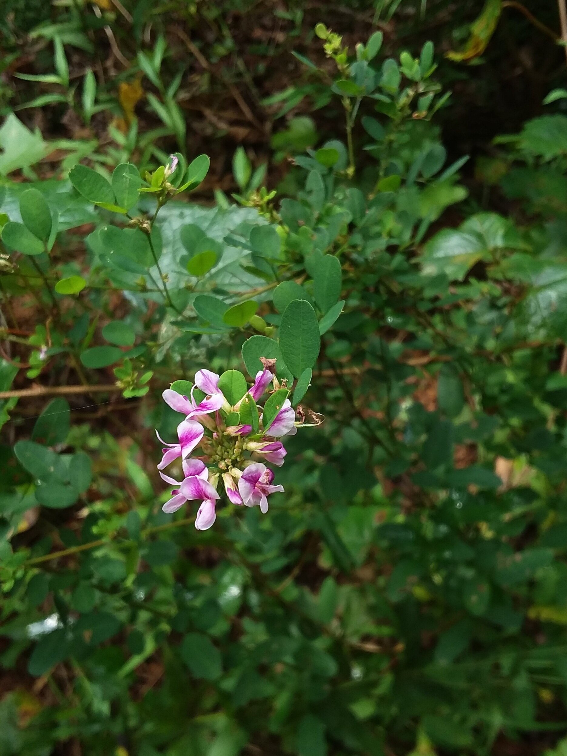 Reaching for Interest