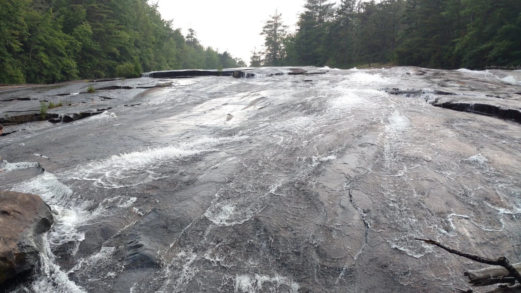 Heart and Mind relationship