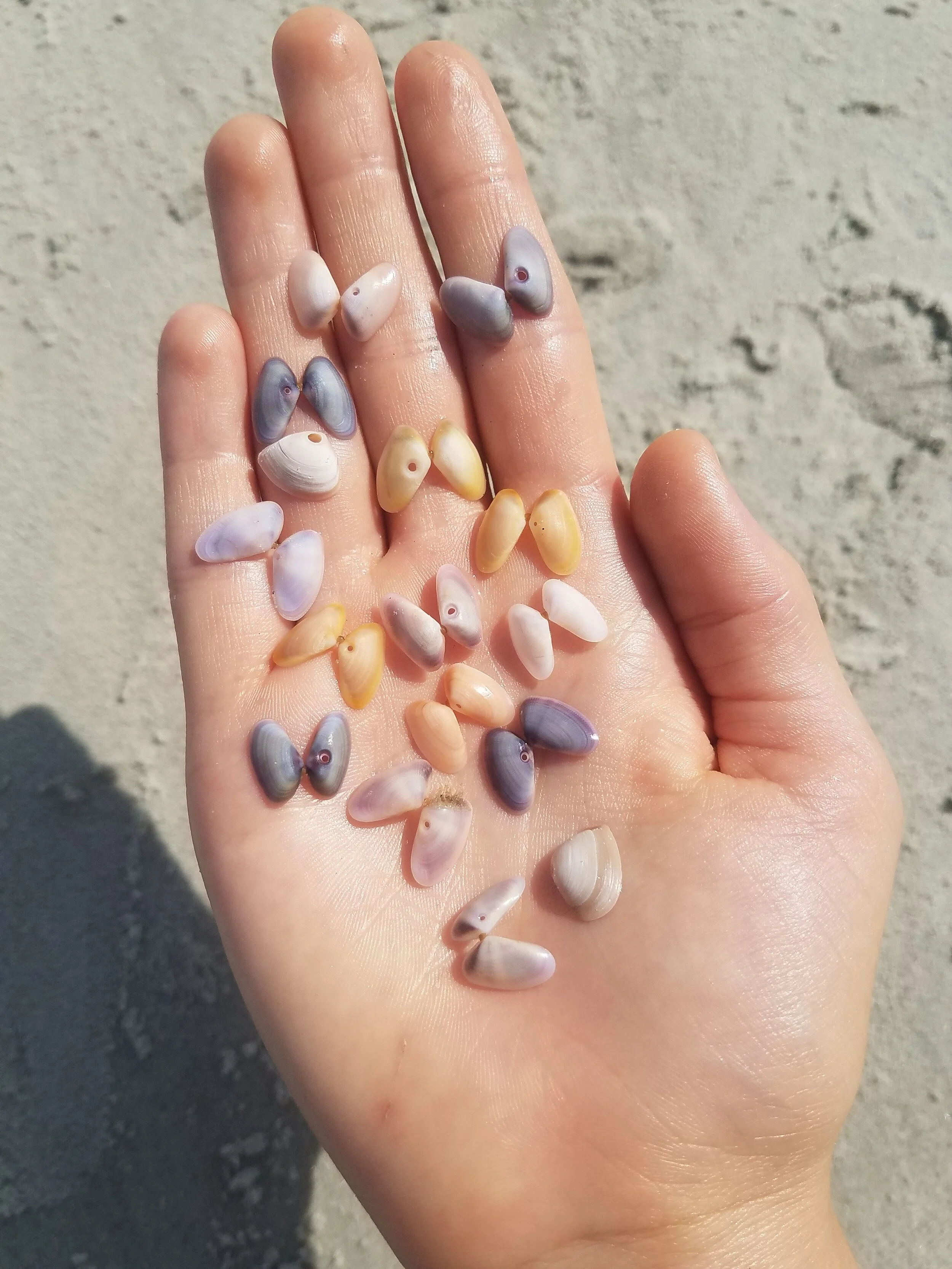 Economy of the Inner World