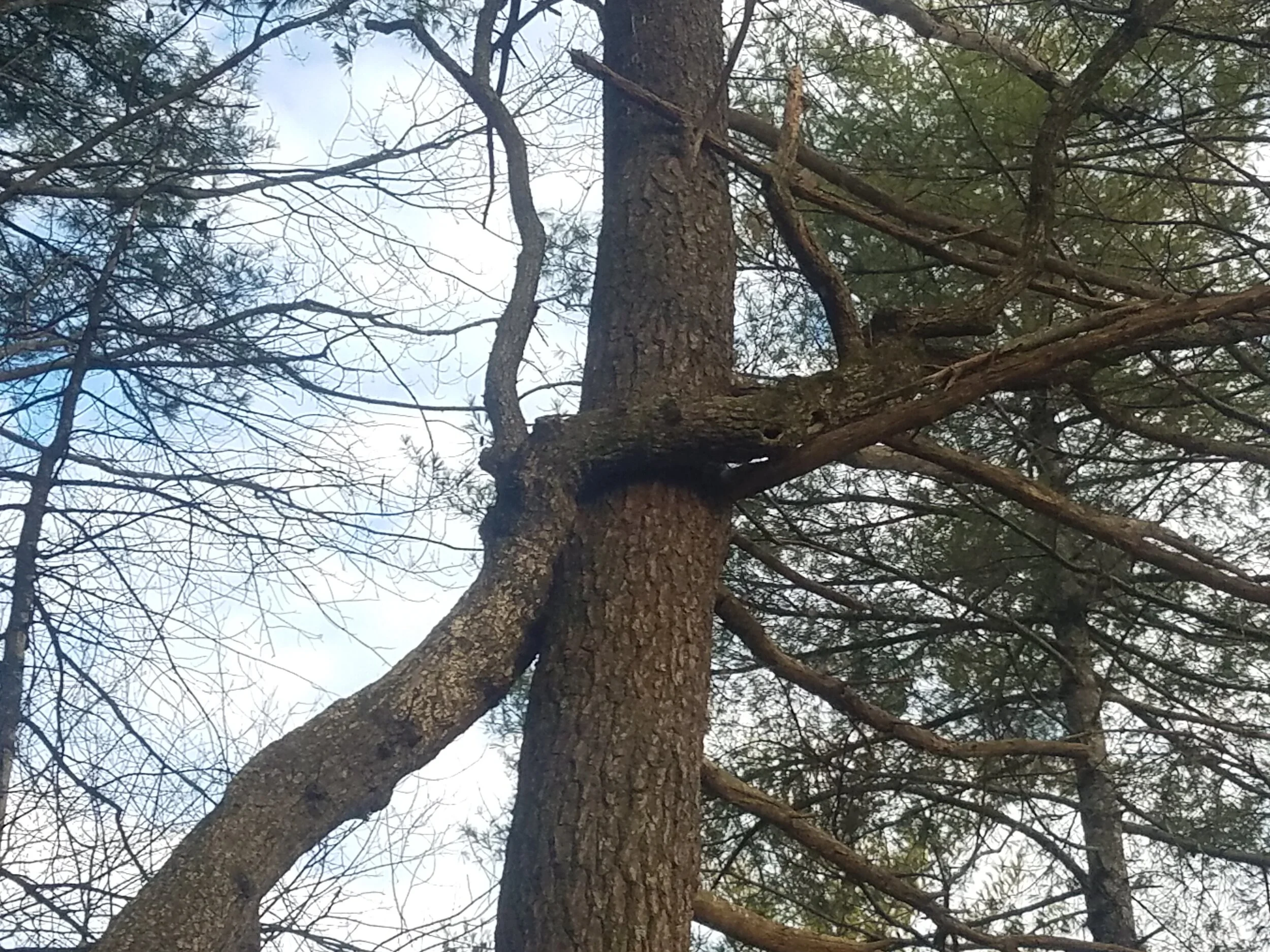 Do something or Don't do something