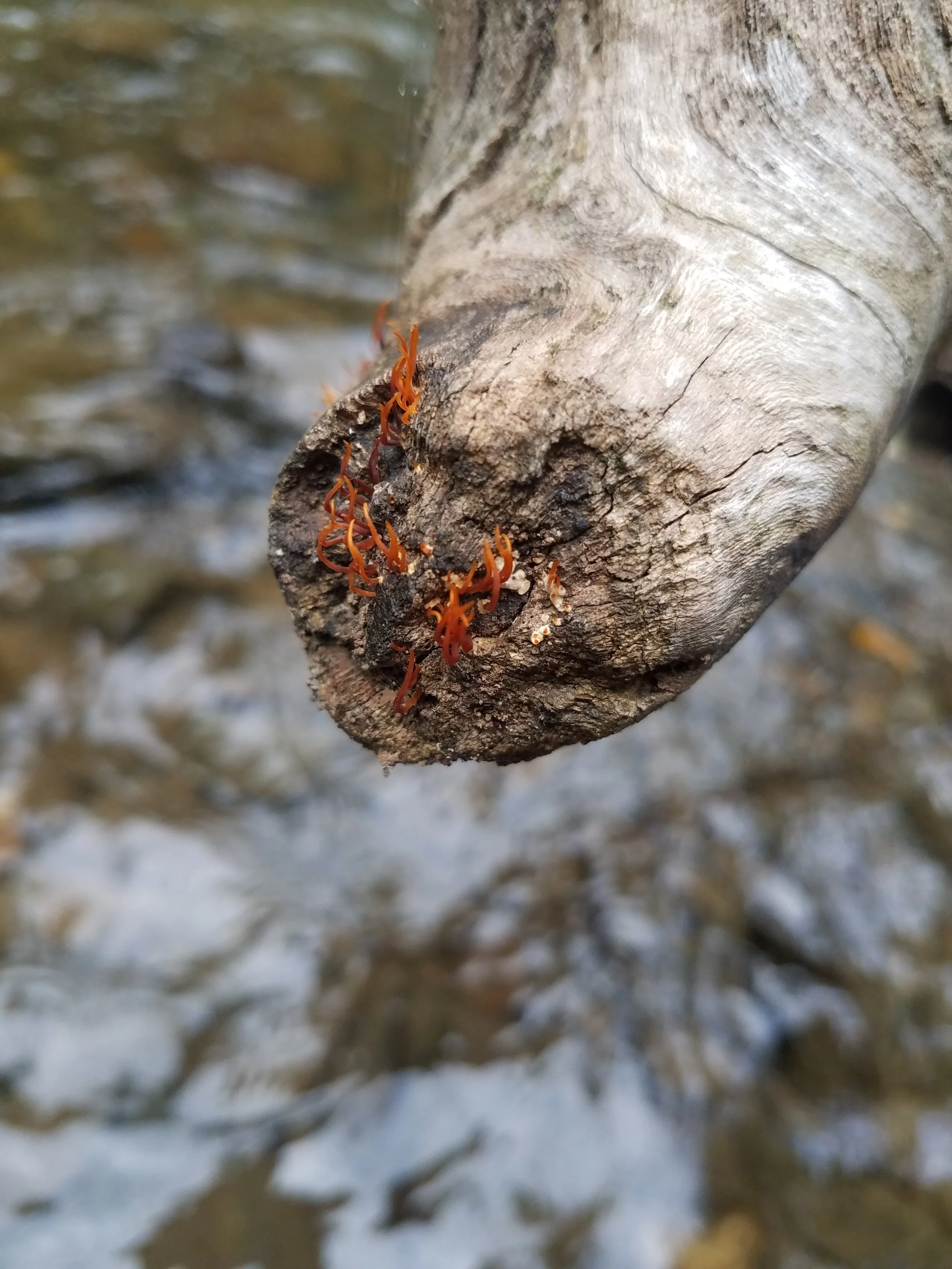 Smartest and Most thoughtful