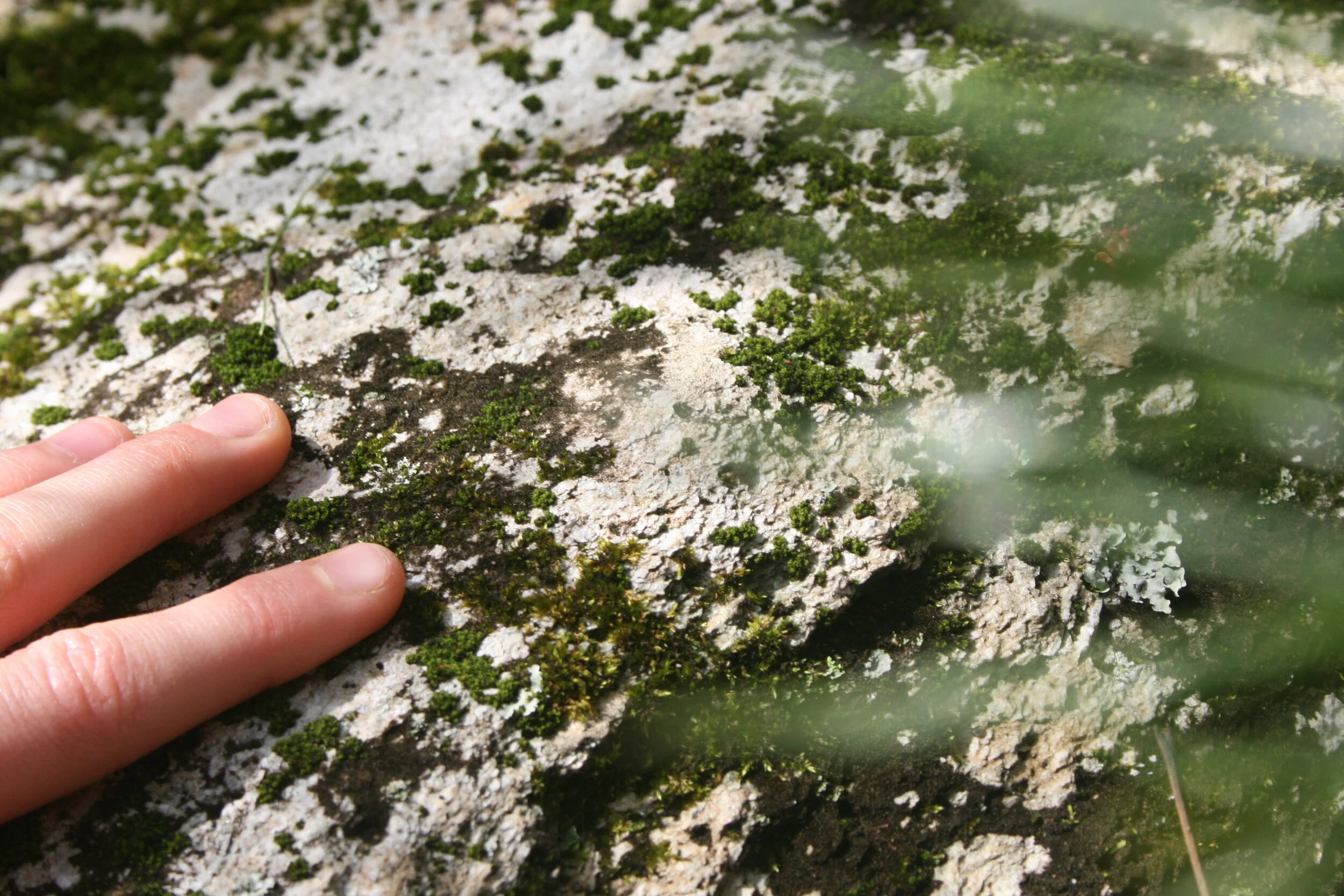 Love, Beauty and Adventure