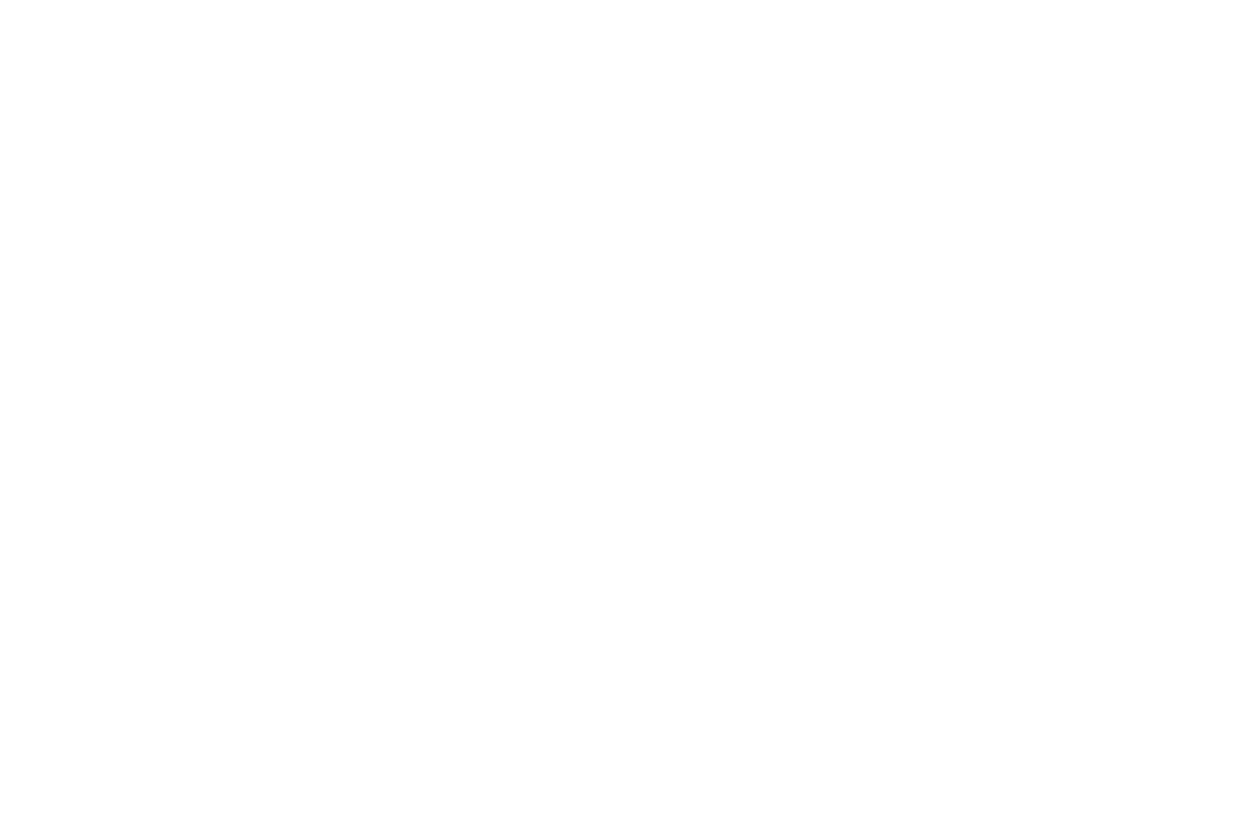 FINALIST - The Palm Springs International Comedy Festival - 2018.png