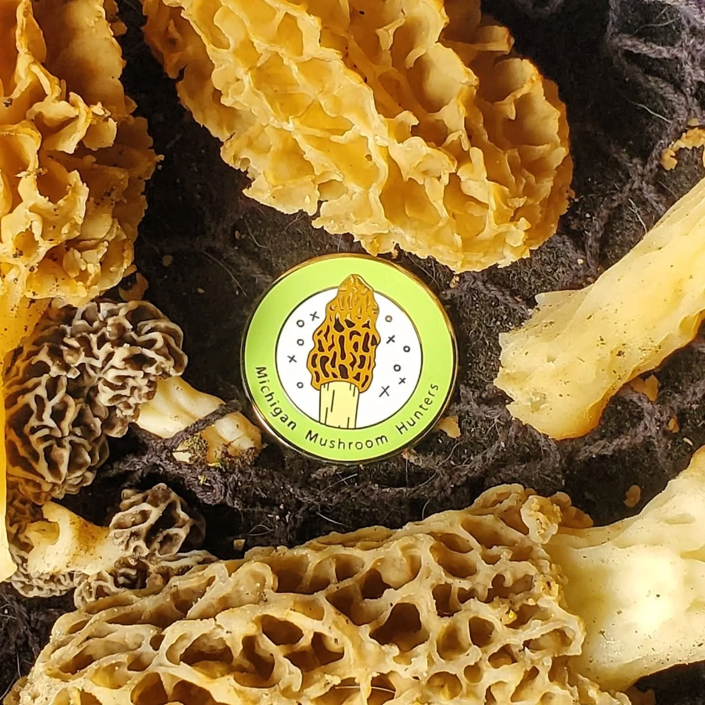 Mushroom Merit Pins are here!

Introducing Our First Educational Tool: Mushroom Merit Pins!
We&rsquo;re thrilled to launch Mushroom Merit Pins &mdash; a fun and rewarding way to celebrate your passion for wild fungi and your foraging wins!

Inspired 