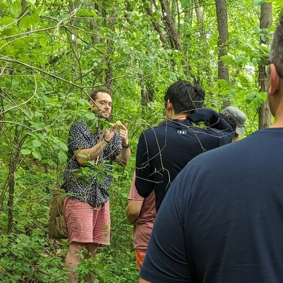 Happy end of May mushroom freaks!

Our second Open Group Hunt was a hard earned success.  Undeterred by unexpected construction and a long walk around part of the lake, our group successfully found 15 species of wild fungi on the trails. The group sh