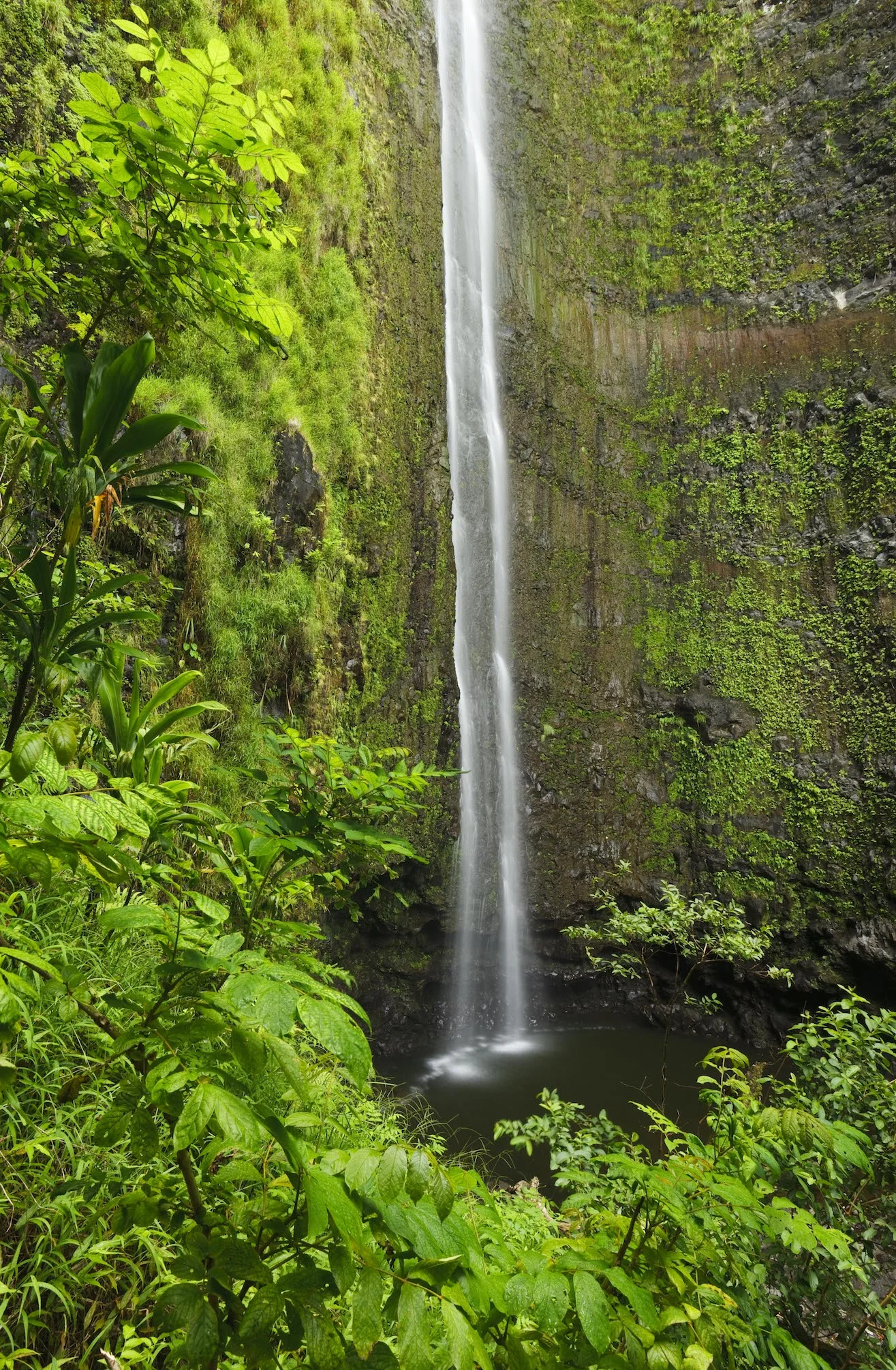 waterfall-hike-private-maui-tour-hana.jpg