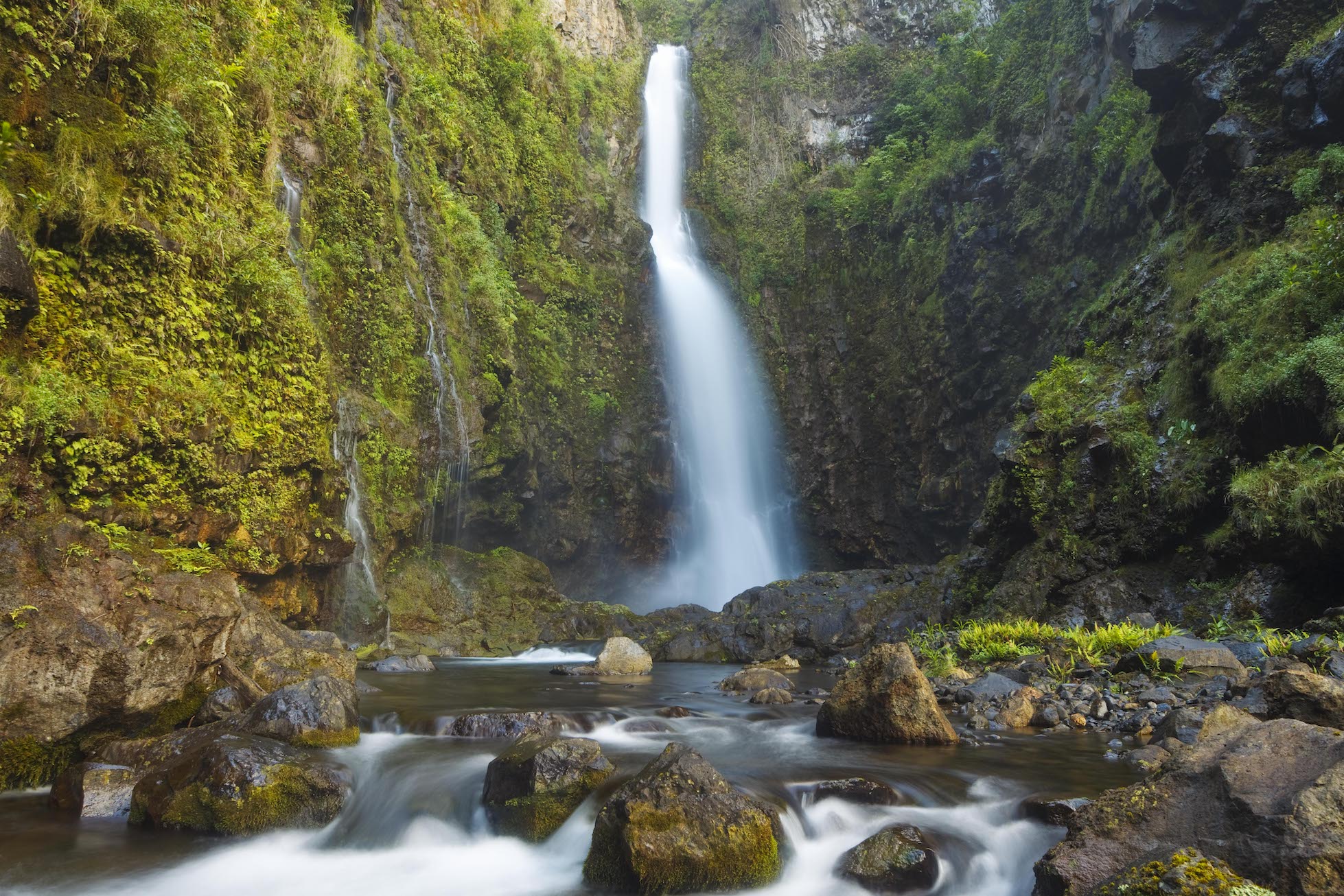 local-maui-tours-hana-waterfall-hike