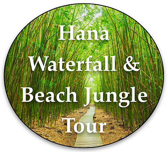 Hana Waterfall and Beach Jungle Tour By Local Maui Tours 