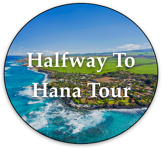 Halfway To Hana Tour By Local Maui Tours 