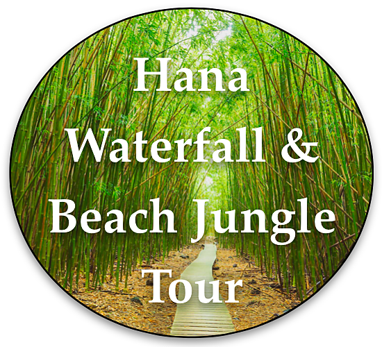 hana-waterfall-beach-private-maui-tour