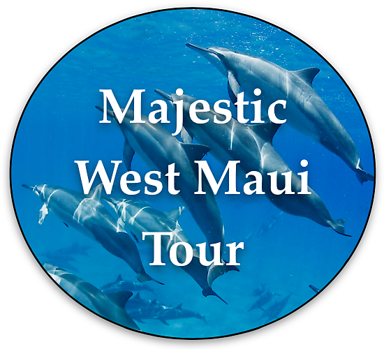 west-maui-private-tour