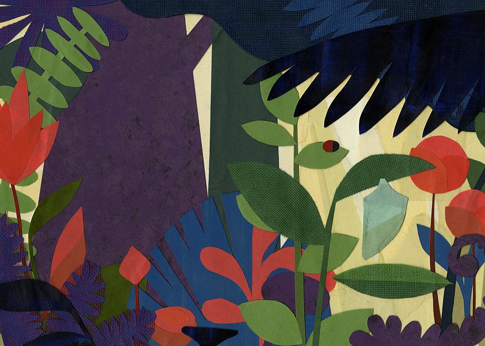 FOREWORD Book Cover Illustration