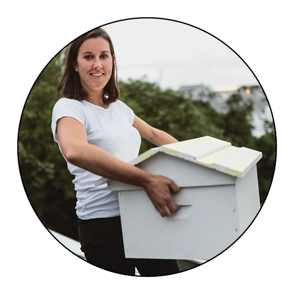 bees-hive-beehive-new zealand-auckland-honey-beekeeping-urban beekeeping-save the bees