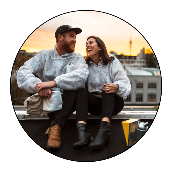 bees-hive-beehive-new zealand-auckland-honey-beekeeping-urban beekeeping-save the bees