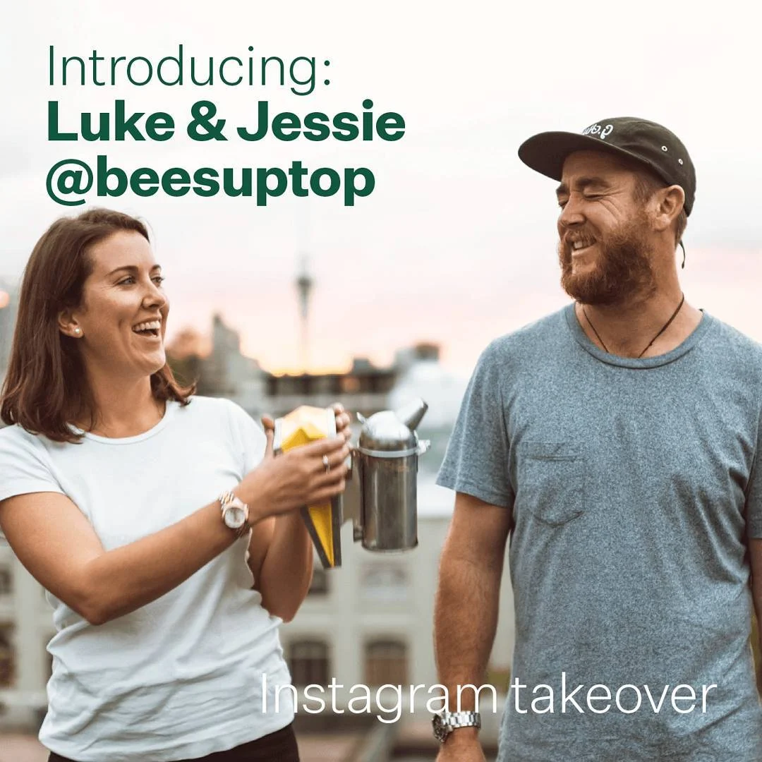 NZ GREEN PARTY TAKEOVER - CLICK HERE