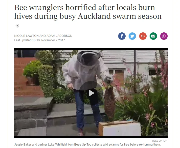 STUFF.CO.NZ - CLICK HERE