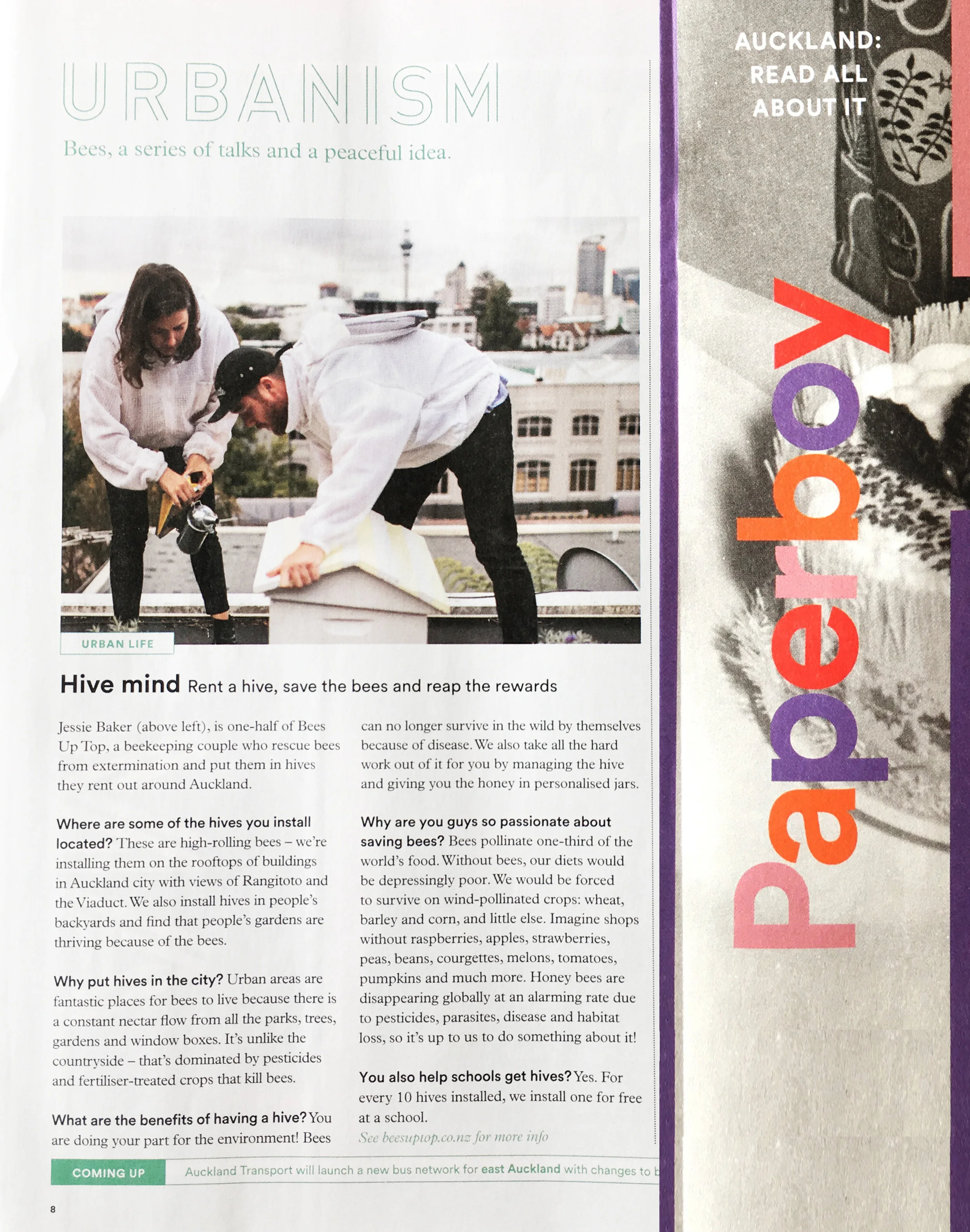 PAPERBOY MAG - CLICK HERE