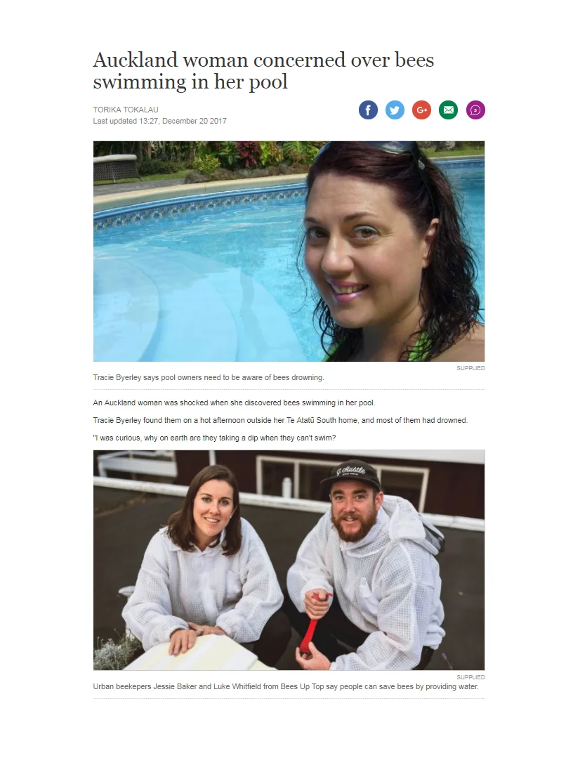 SAVE BEES FROM DROWNING IN YOUR POOL - CLICK HERE