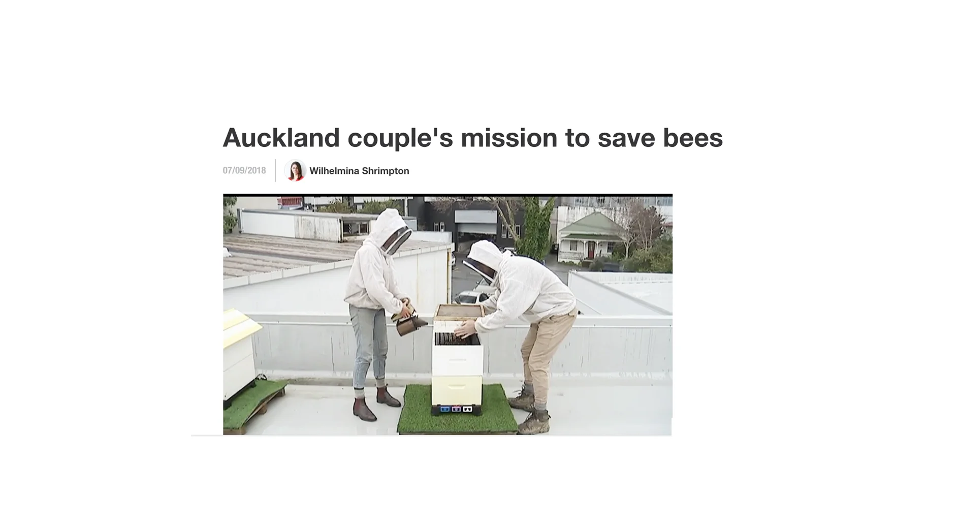 ON A MISSION TO SAVE BEES - CLICK HERE