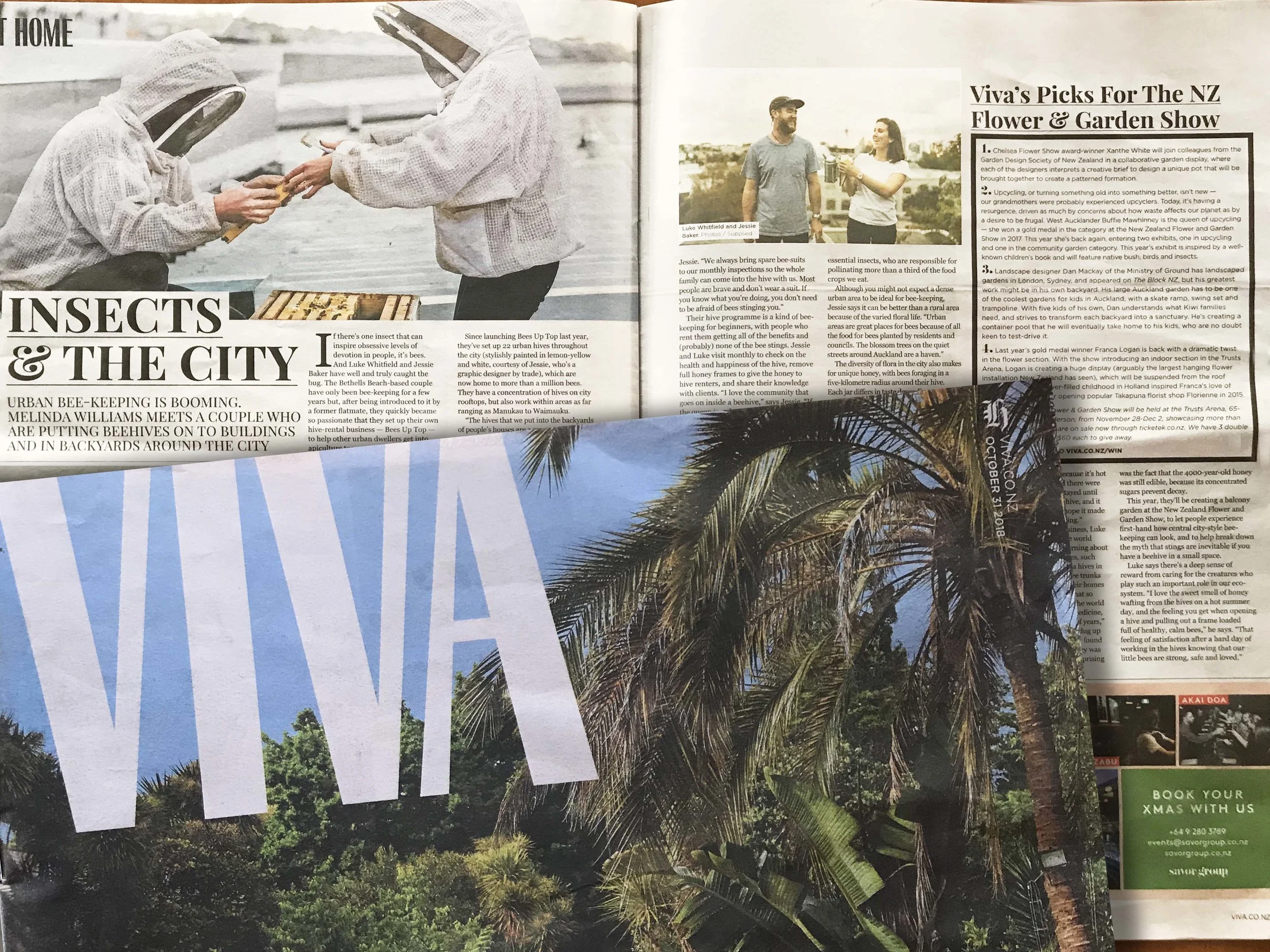 INSECTS IN THE SKY - VIVA, NZ HERALD CLICK HERE