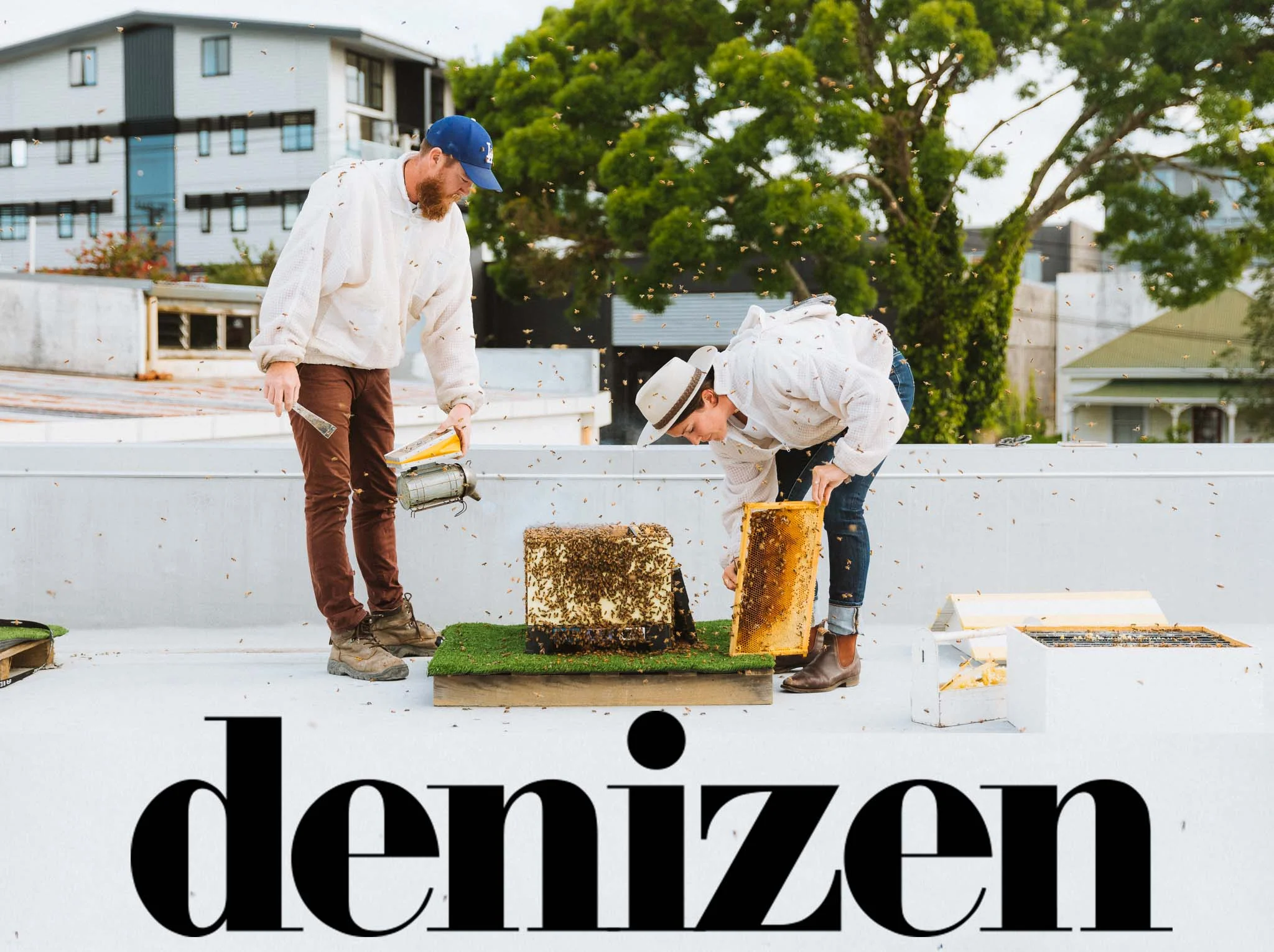 THE DENIZEN