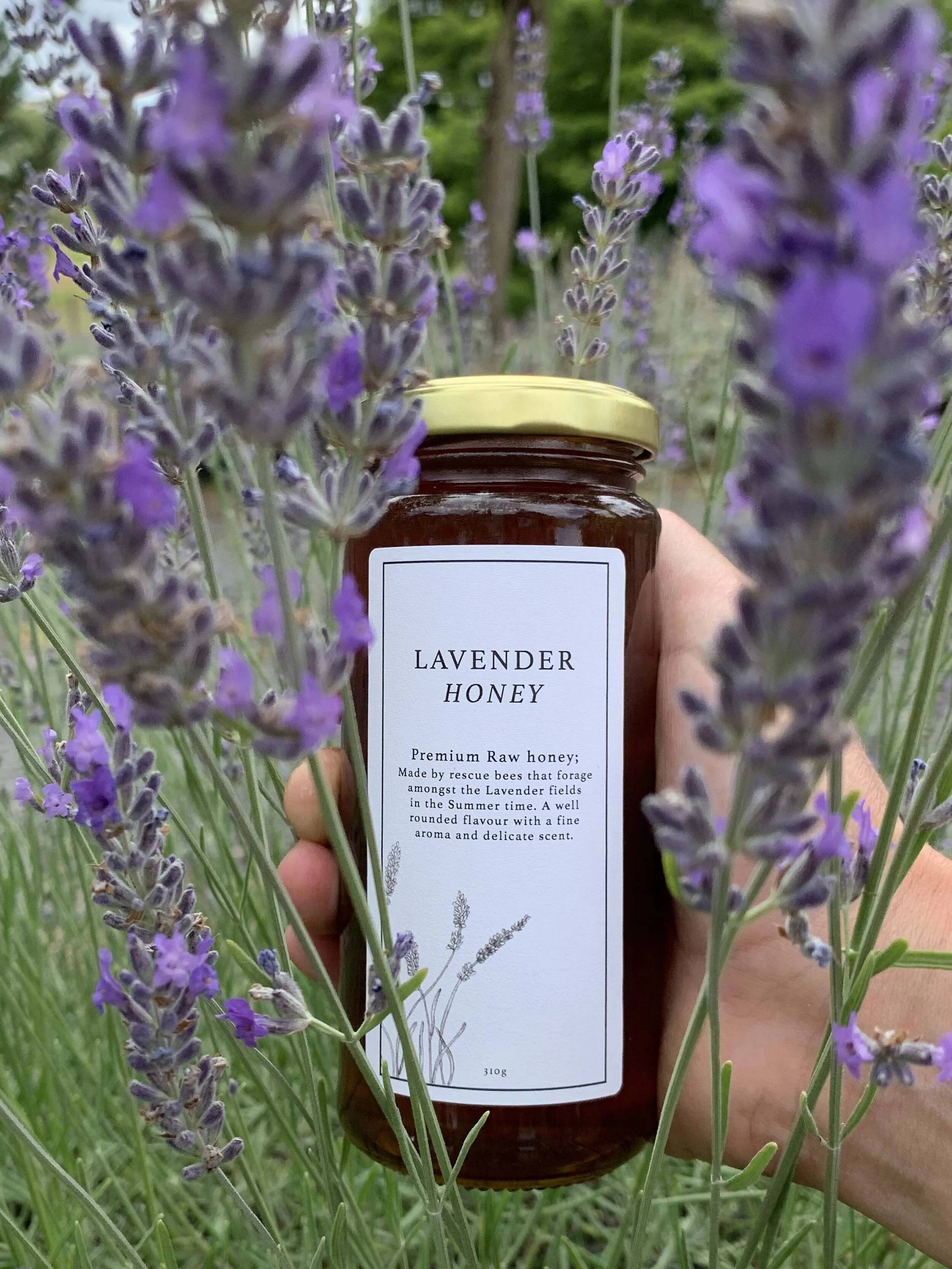 Lavender Honey - Harvested February 2020