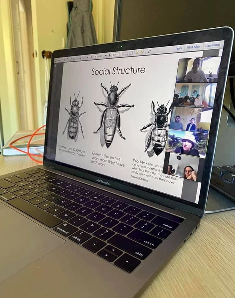 online bee course2.jpg