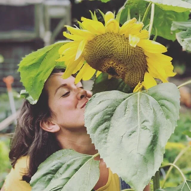 We&rsquo;ve added a list of pollen producing, bee friendly plants to our bio link 👆 Sunflowers are an amazing source of pollen for bees &amp; will look fab in your garden this Spring! 🌻 🌻 🌻🌻🌻🌻🌻🌻🌻🌻🌻🌻🌻🌻🌻🌻🌻🌻🌻🌻🌻