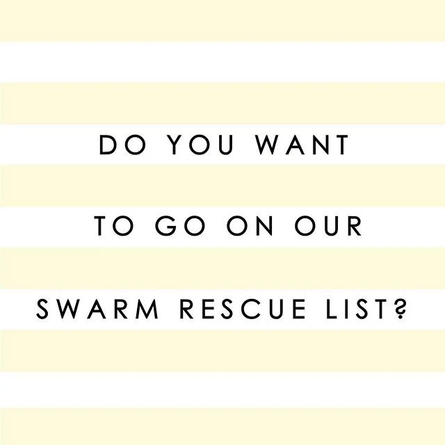 Would you like to help us rescue bees this Spring? It's a major ADRENALINE rush and a way to help out the declining  bee population in NZ! We are looking for people all over Auckland who have some spare time on their hands and would like to help BEES UP TOP rescue swarms instead of them being exterminated! Comment below or use our contact page to get in touch www.beesuptop.co.nz