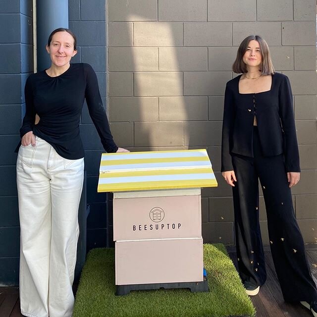 @rubytakessnaps loves their bees and their Queen - Miss Honey! 💛💛💛💛 💛💛💛💛💛💛💛💛 ❤️Q. What do you love the most about having Miss Honey and her babes on your show room balcony? 💛A. We love having new additions&rsquo; to our team meetings in 
