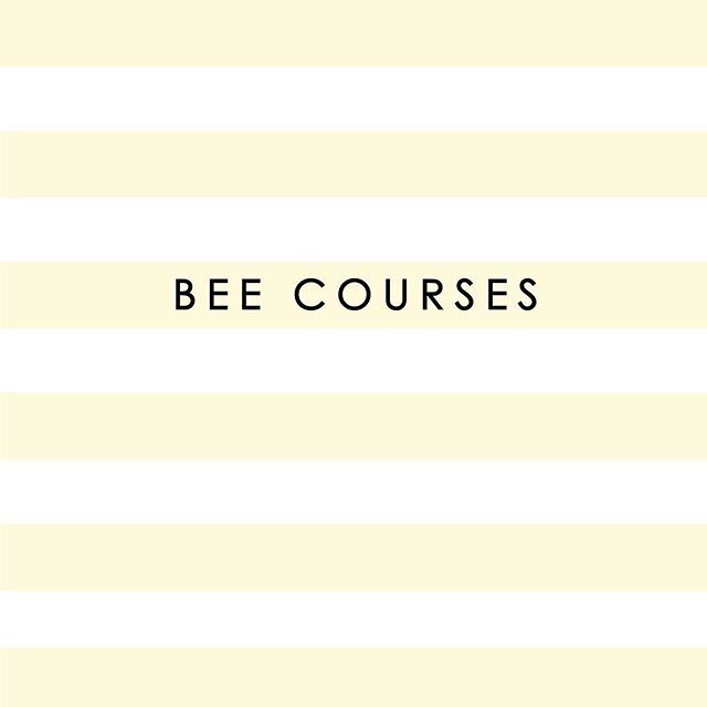 We&rsquo;re EXCITED because our bee courses will be starting up again in Spring 2020!🙌 We are just waiting for the weather to warm up so we have happy bees to inspect ⛅️ BEES UP TOP offers 3 different types of courses. ☑️The online course includes a live delivery of bees, gear &amp; a years free support from us! ☑️The one day bee courses at The #bethellsbeach Bee Sanctuary is a great way to get an introduction to beekeeping. ☑️The intermediate online course is for people who have a hive and are feeling a little confused with what to do next!
.......................🎁 Gift vouchers available🎁 ................ There is a wait list for all 3 courses. If you are interested in any of them comment below with your preferred course and email address and we will put you on our wait list. Or you can email us via the contact page on our website: www.beesuptop.co.nz