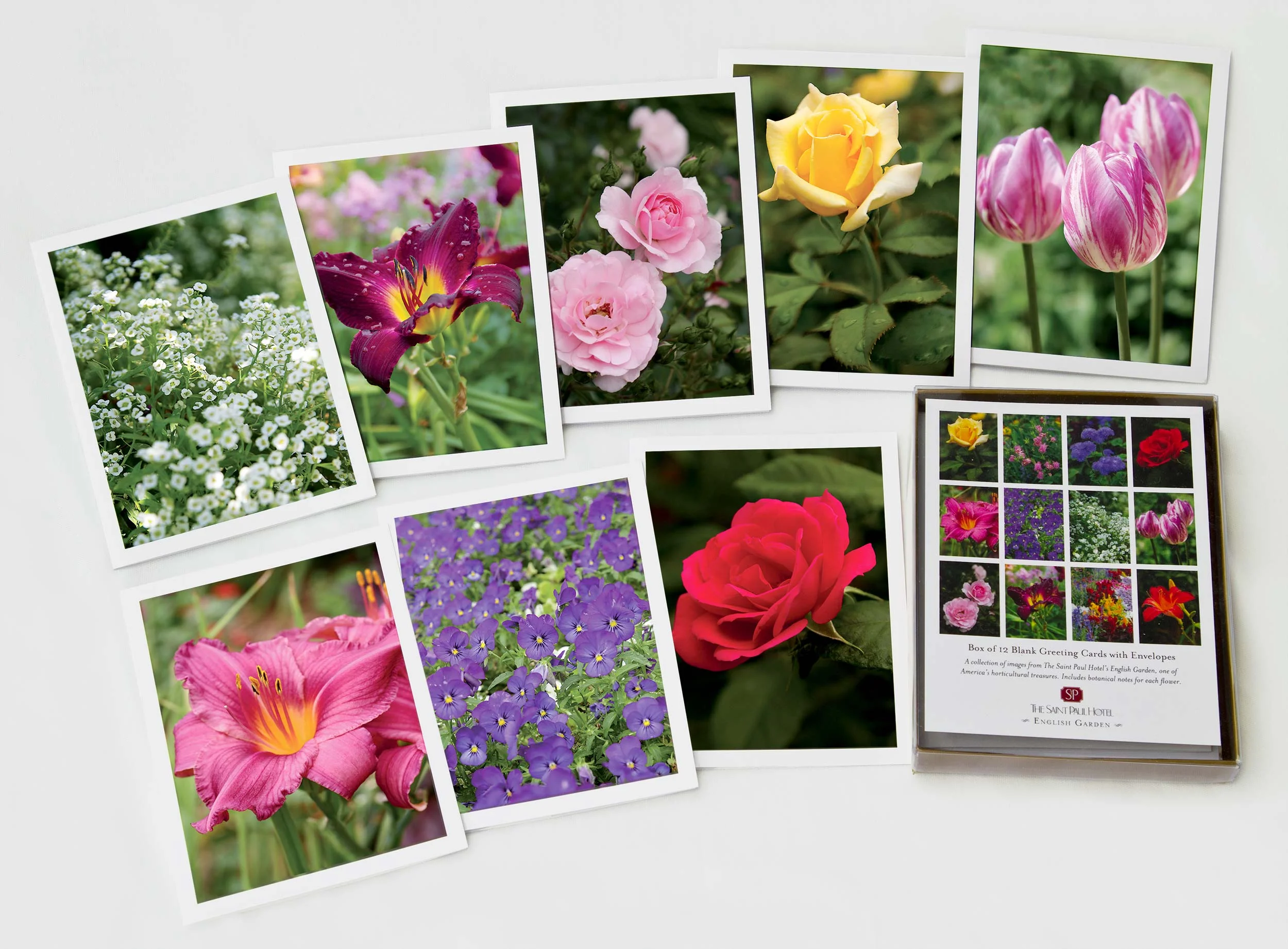 IMG_6240FlowercardsRev2500b.jpg