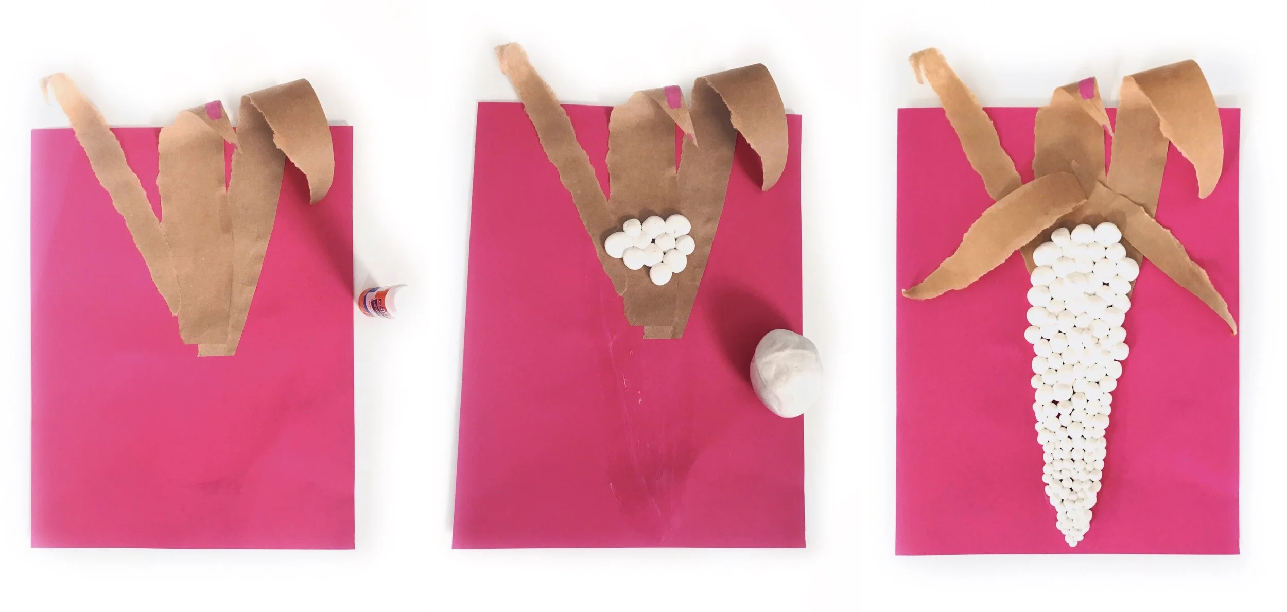 MODEL MAGIC CORN PROJECT