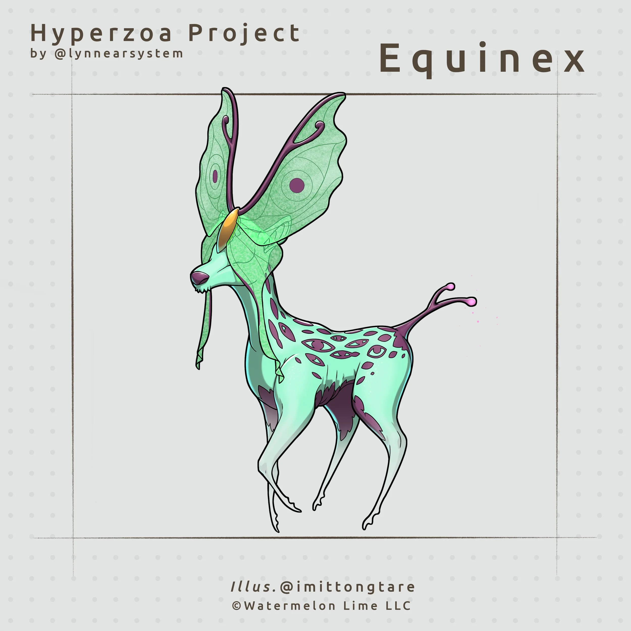 Social_Equinex.jpg