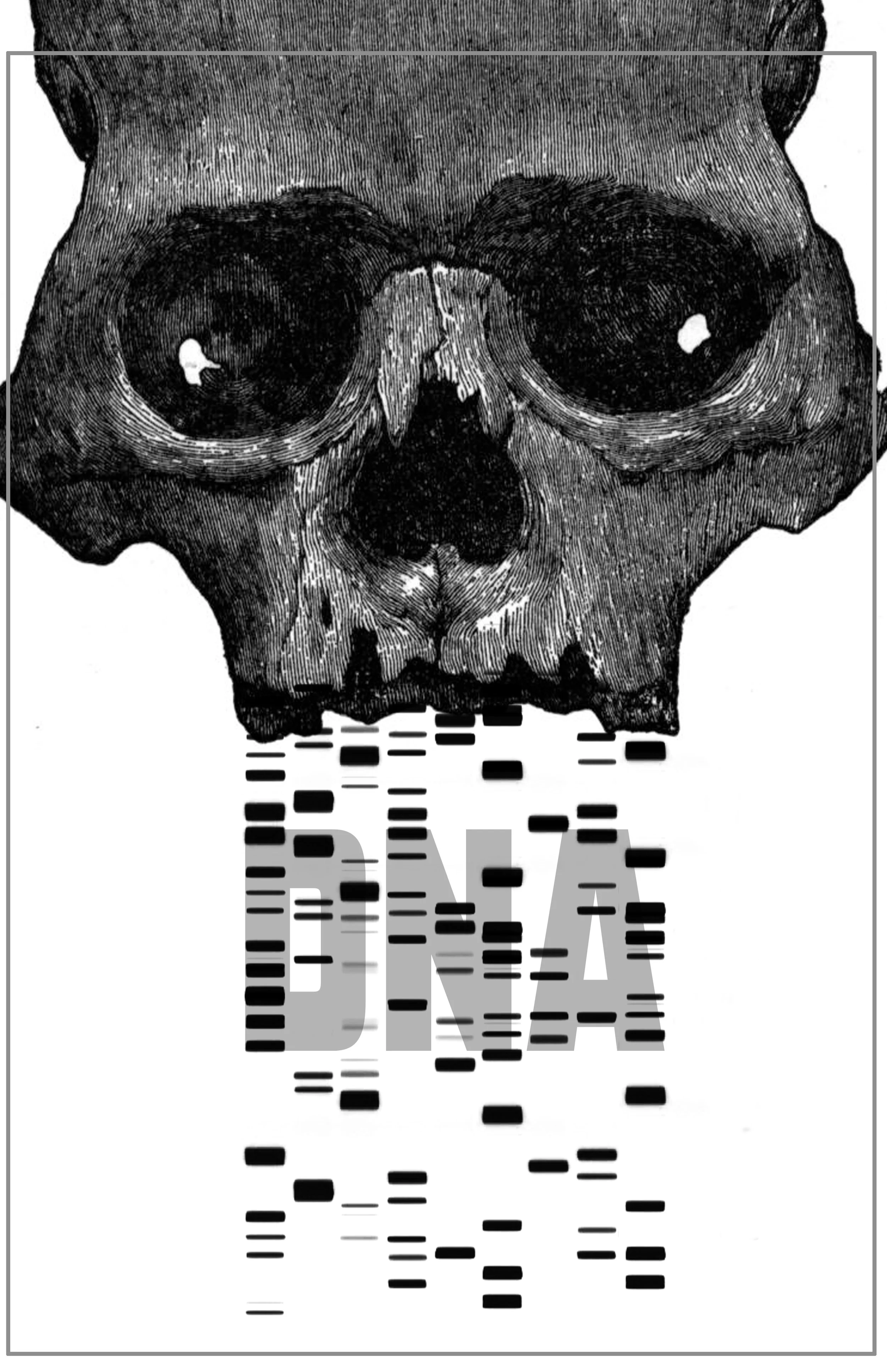 DNA5.jpg