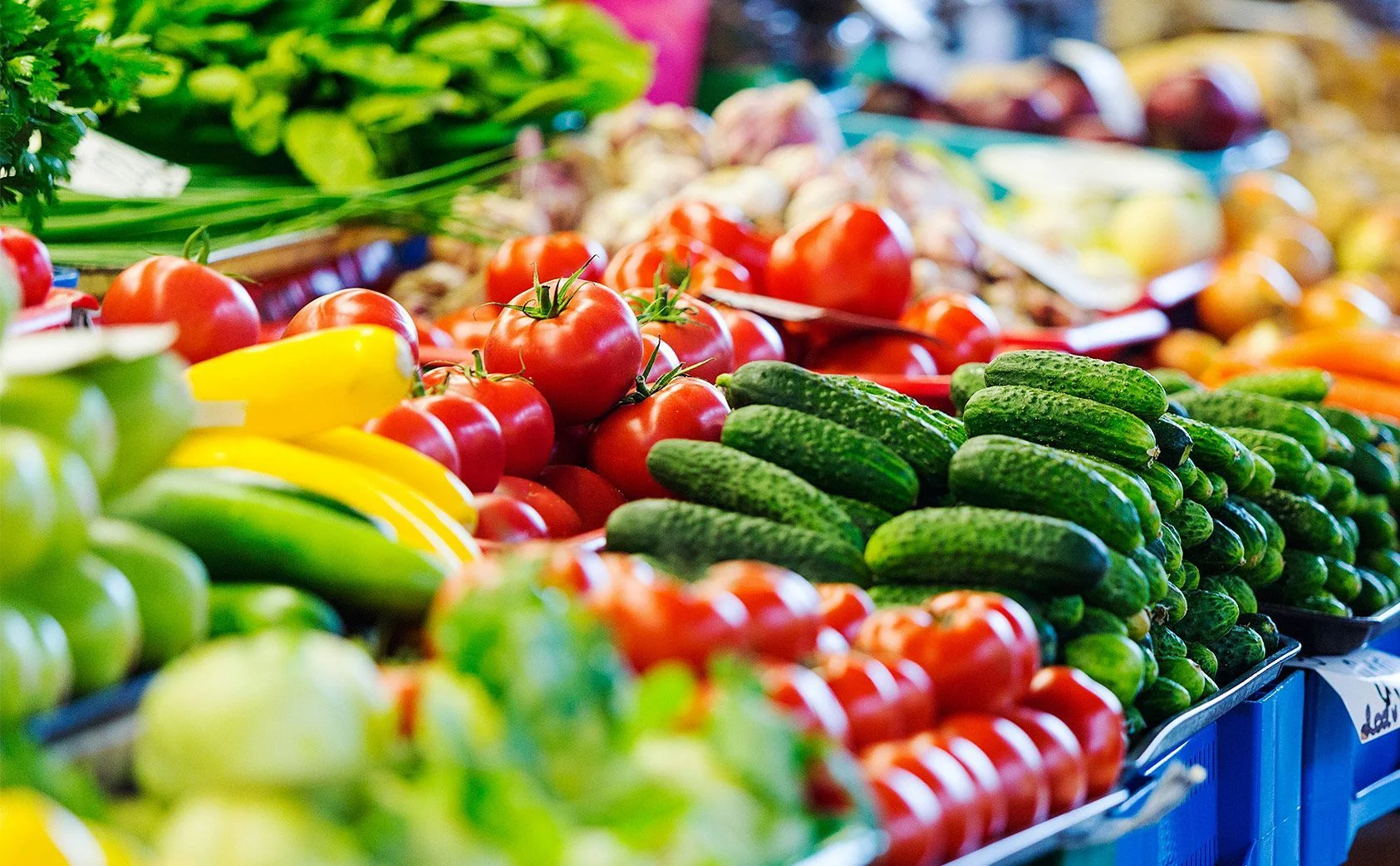 Looking to eat Jewishly? Learn about the local options available to you Learn More