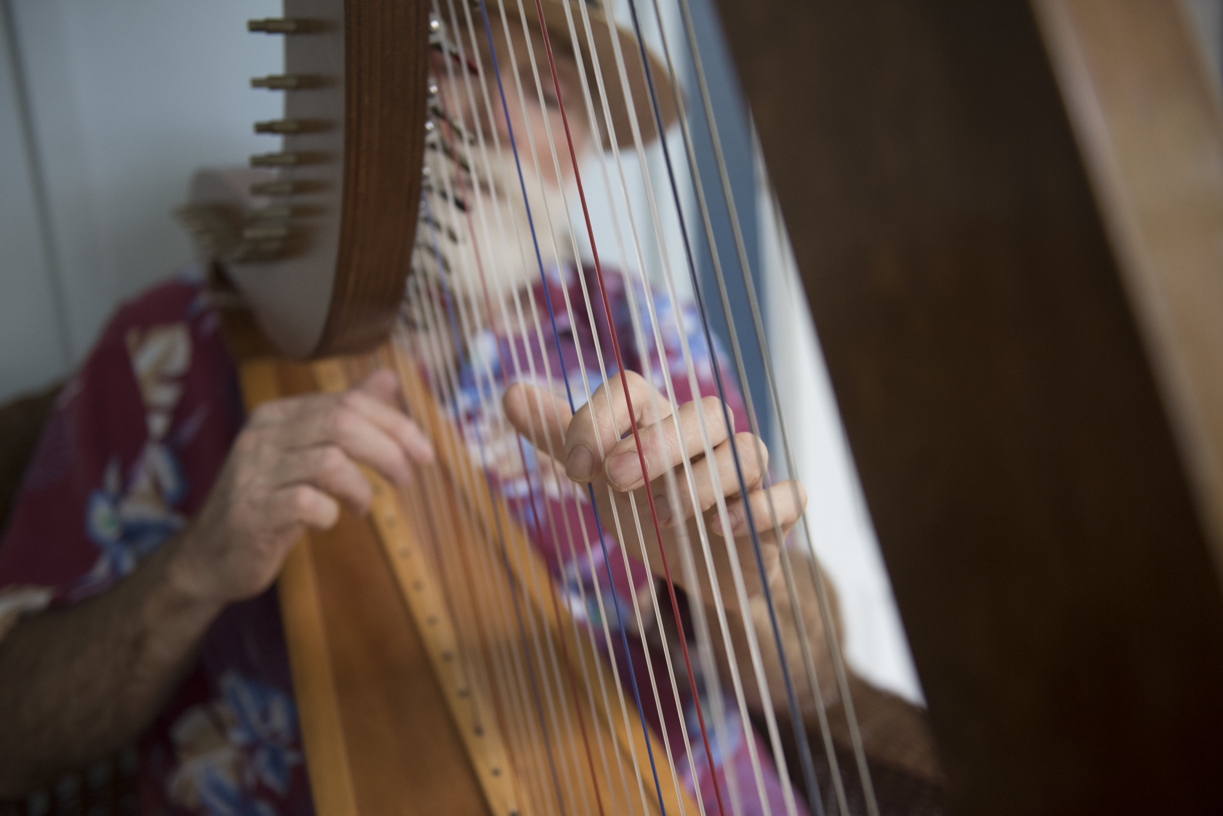 Pat McGee strums his harp outside his home in Athens, Ohio on Sept. 3, 2017. McGee often can be spotted around Athens playing his harp, usually with a small crowd watching.