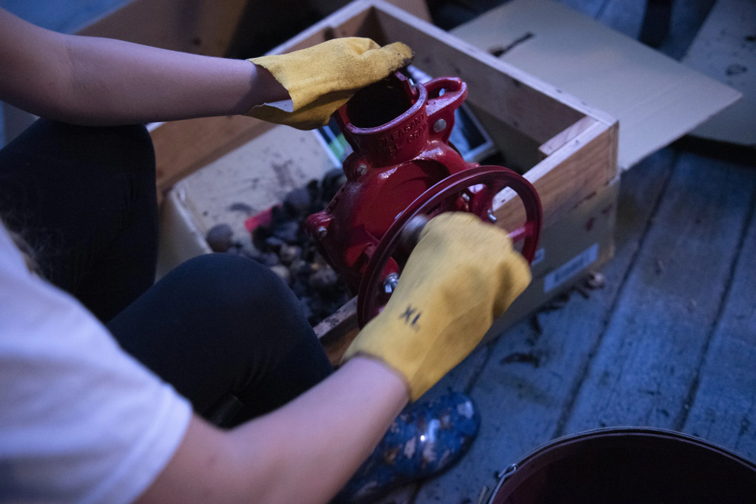   Jess Fray, an Ohio University student the Poches’ hired to help with the farm work, take the shells off black walnuts that fell from the Poches’ walnut tree.  