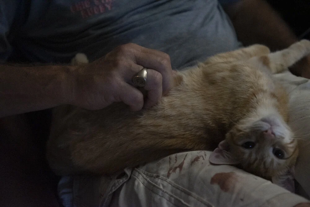   Greg pets one of the cats they’ve recently taken in.  