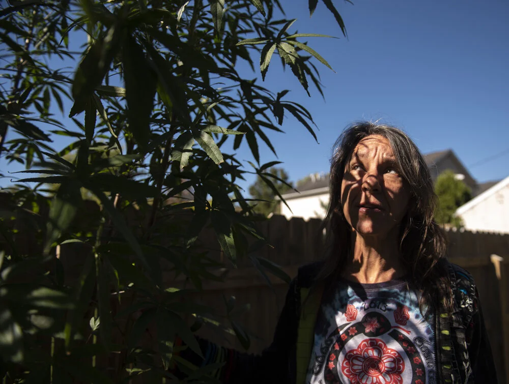  Cool Digs owner Saraquoia Bryant stands in front of her kenaf plant that grows behind her shop. Kenef is a plant similar to hemp as it is also a bast fiber but it is more closely related to hibiscus plants than cannabis.  