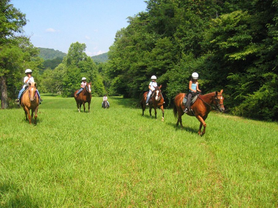 Riding in the Fields.jpg